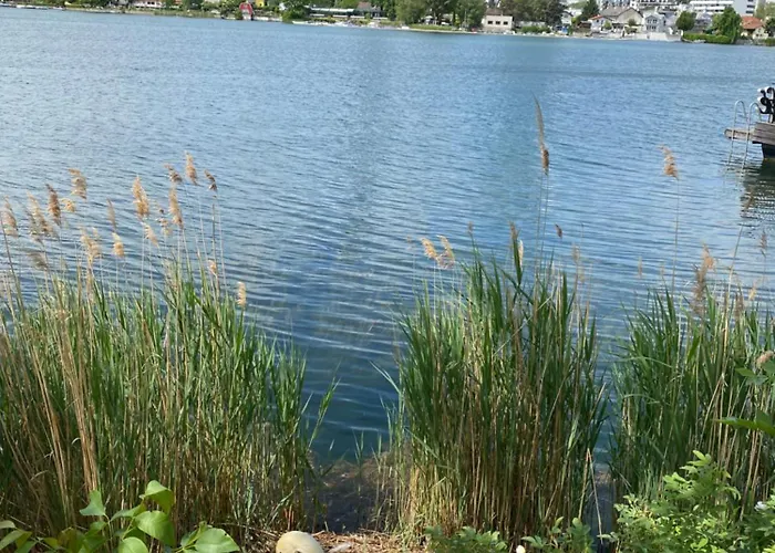 U1 Alte Donau Old Danube 2 *